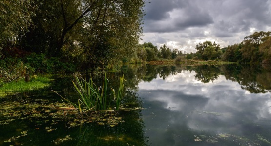 Правила поведения у водоёмов
