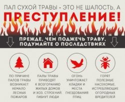https://xn--80aimafbdvc2an.xn--p1ai/wp-content/uploads/2025/04/1-250x204.jpg