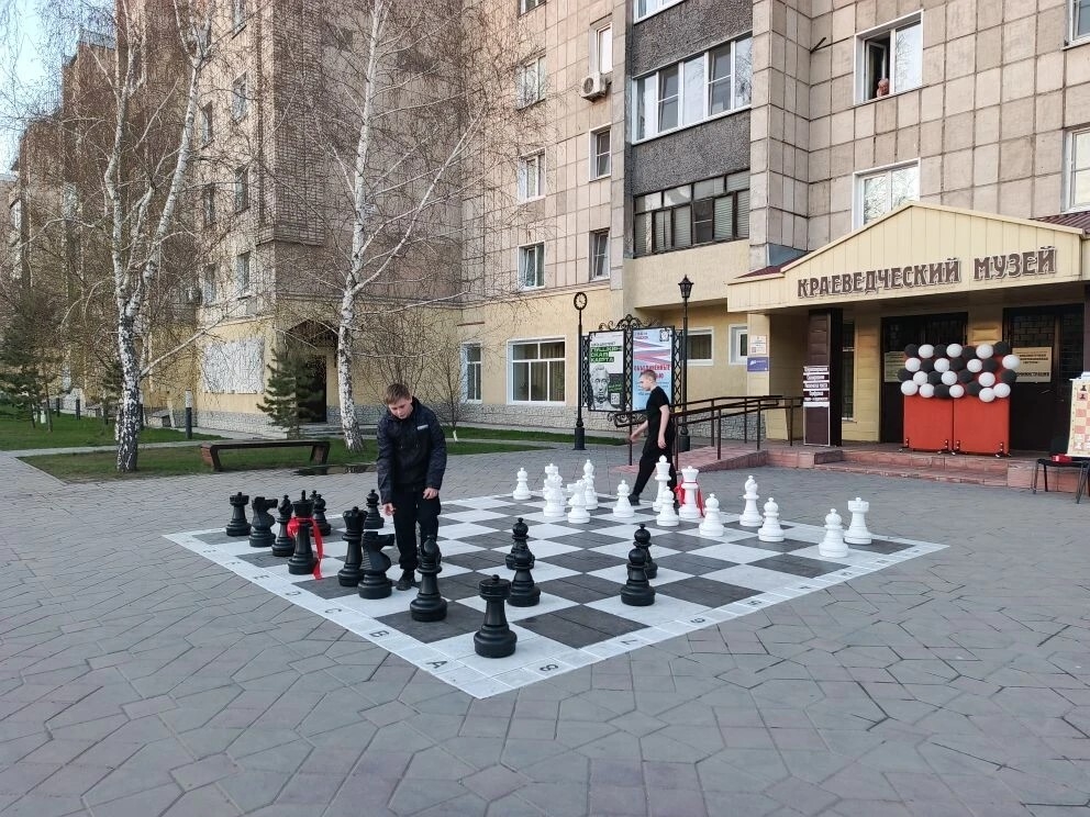 Шахматы