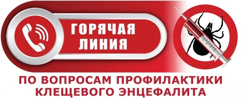 Баннер "прямой линии"