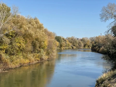 р. Алей