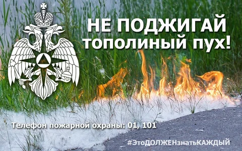 Не поджигай тополиный пух