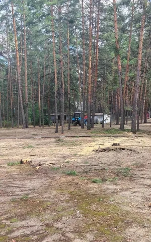 территория лагеря
