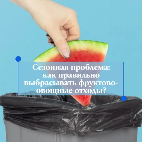картинка с арбузом