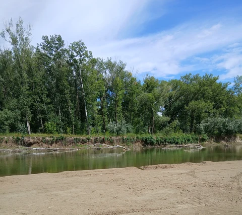 р.Алей