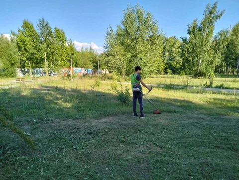 покос травы