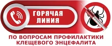 Баннер "прямой линии"