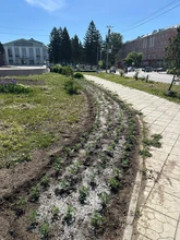 посадка цветов