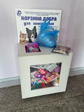 корм для собак