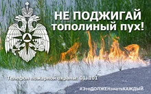 Не поджигай тополиный пух