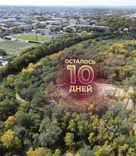 осталось всего 10 дней до голосования