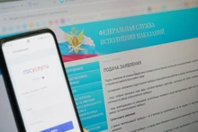Пробация на Госуслугах