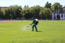 обработка территории от комаров
