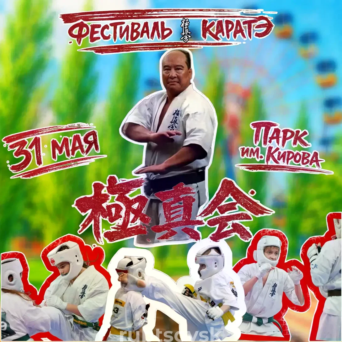баннер Фестиваль карате