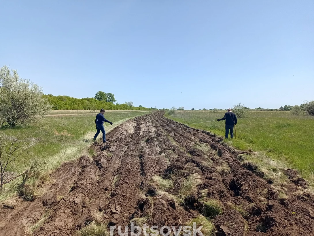 опашка