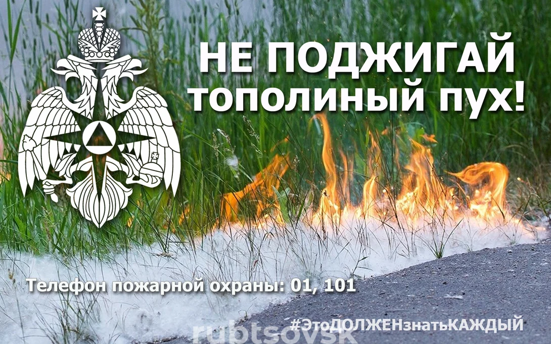 Не поджигай тополиный пух