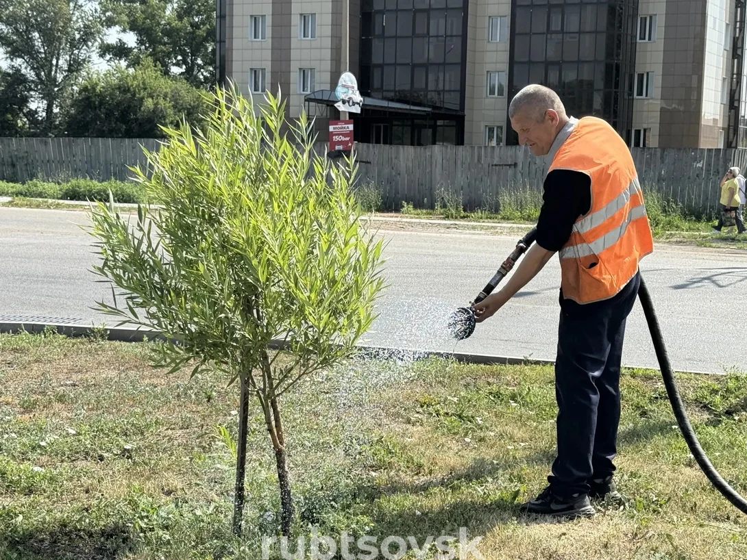 Полив деревьев 