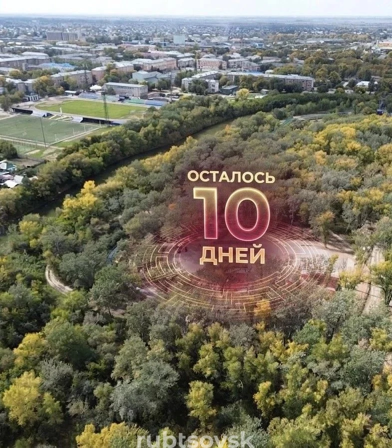 осталось всего 10 дней до голосования