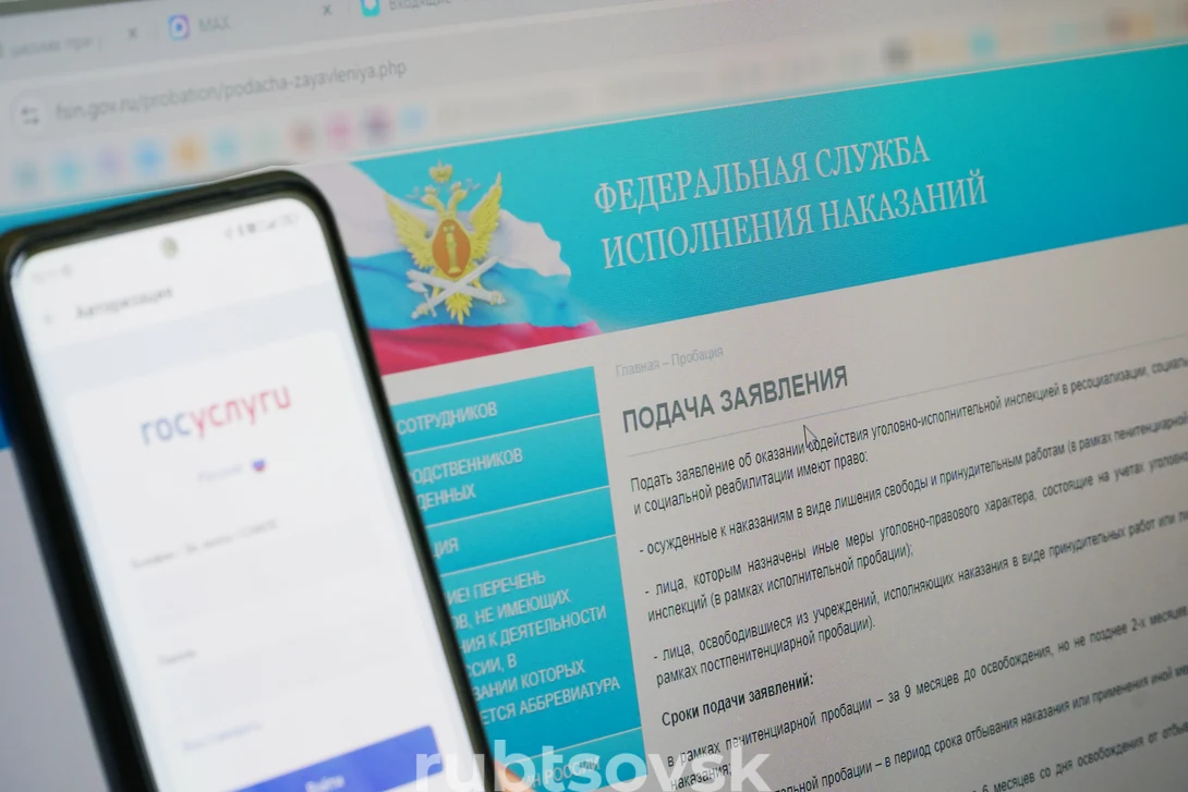 Пробация на Госуслугах