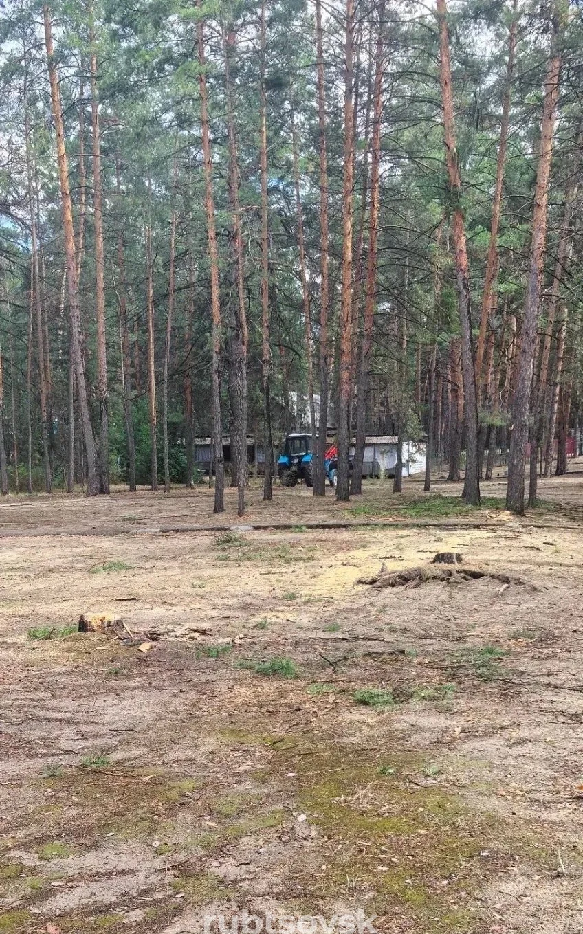 территория лагеря