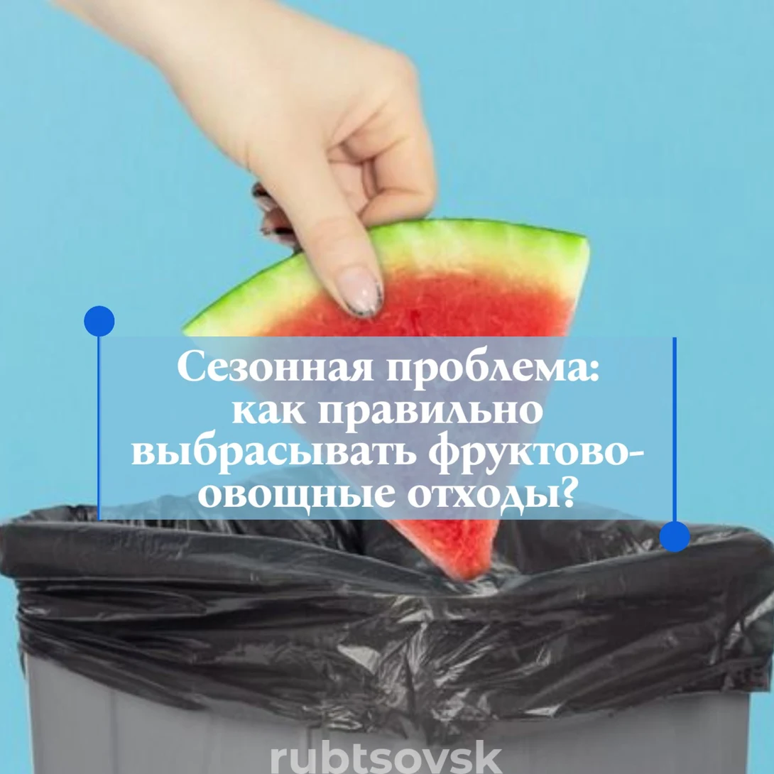 картинка с арбузом