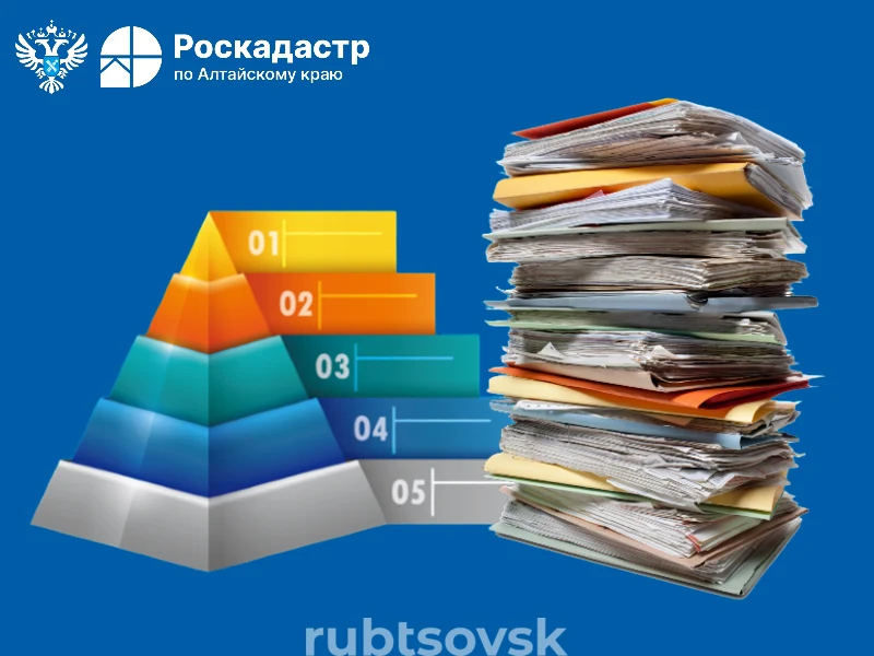 выписки 