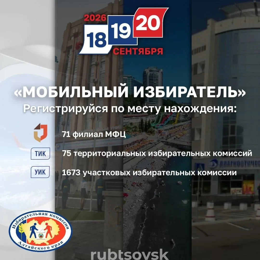 баннер мобильный избиратель