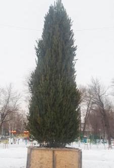 img-20201223-wa0008_v.jpg