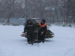 img_0180_h.jpg
